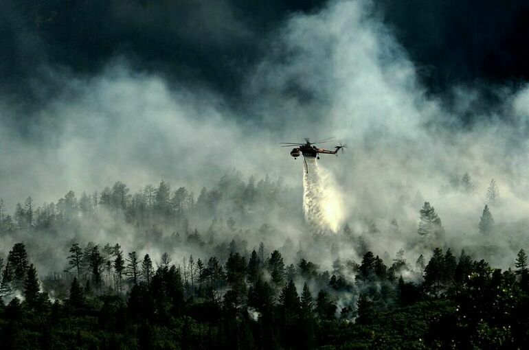 Регионам выделят еще 2,8 миллиарда рублей на тушение лесных пожаров