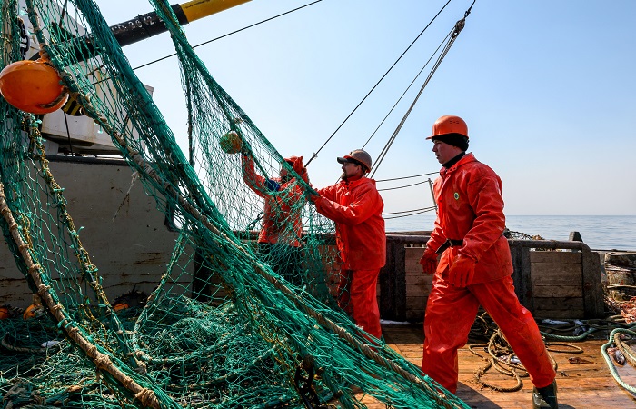 Российские рыбаки в 2023 году выловили рекордные 1,96 млн т минтая