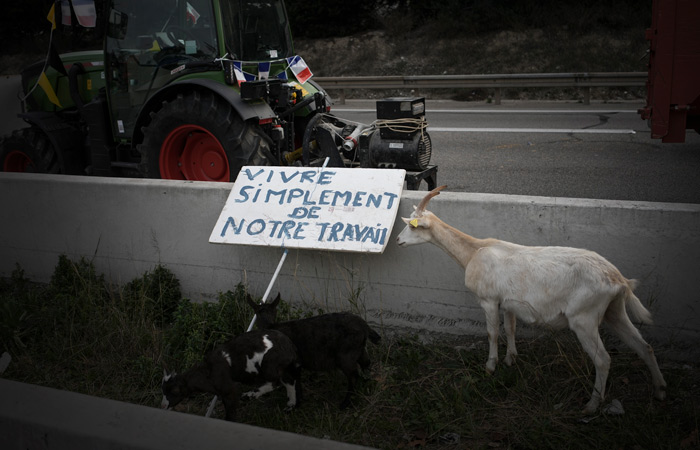 Власти Франции объявили об очередном пакете мер для умиротворения фермеров