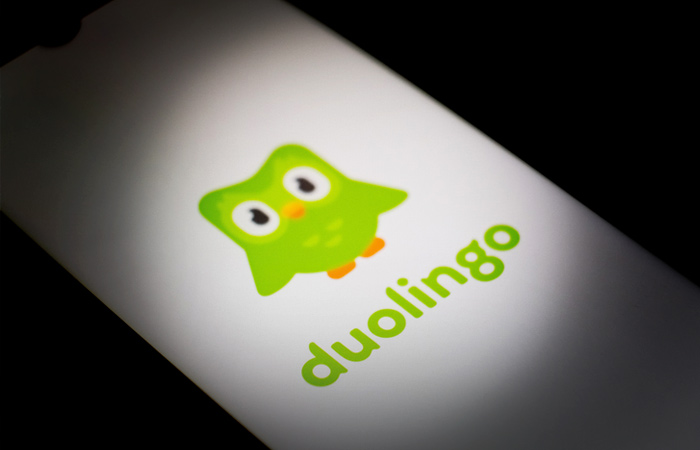 РКН сообщил о проверке образовательного сервиса Duolingo на ЛГБТ-пропаганду