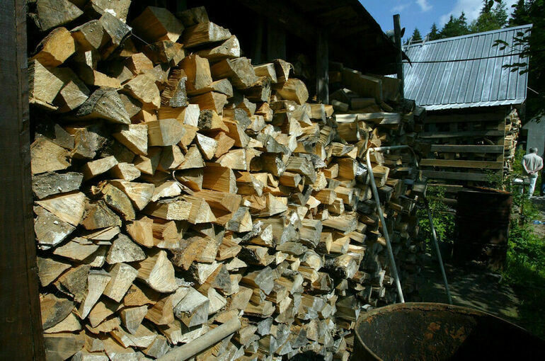 В Совфеде предложили упростить заготовку дров для жителей удаленных территорий
