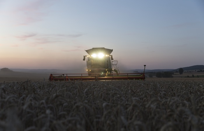 Пошлина на экспорт пшеницы из РФ с 15 мая снизится на 3,3%