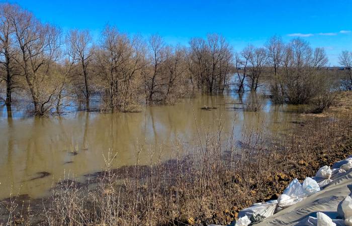 Уровень воды в Ишиме в Тюменской области снизился за сутки