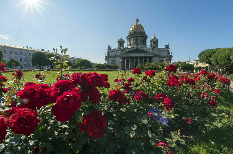 В Петербурге появились три новых почетных гражданина