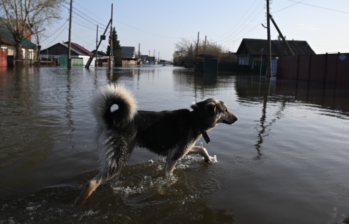 Вода ушла из 80 домов и 80 участков в Кургане