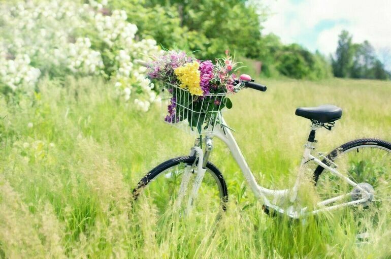 Во всем мире 3 июня отмечают День велосипеда