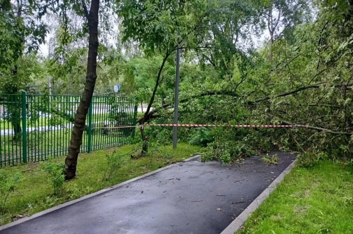 Из-за непогоды в Москве погибли два человека, 18 были госпитализированы