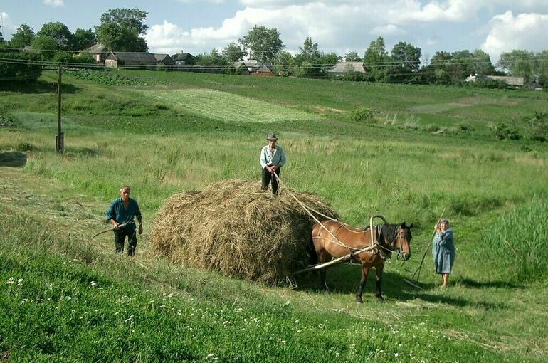 Сельскими старостами разрешат становиться без прописки на селе