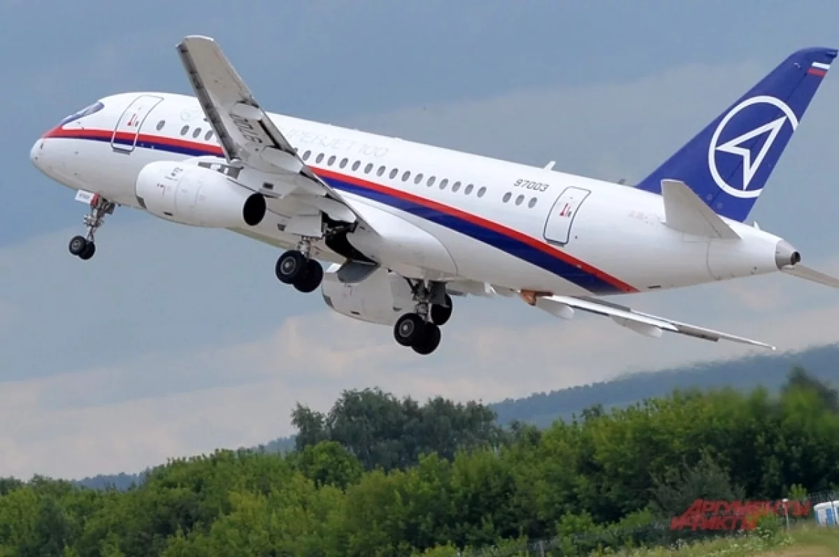 Причиной падения Sukhoi Superjet могло стать попадание птиц в двигатели