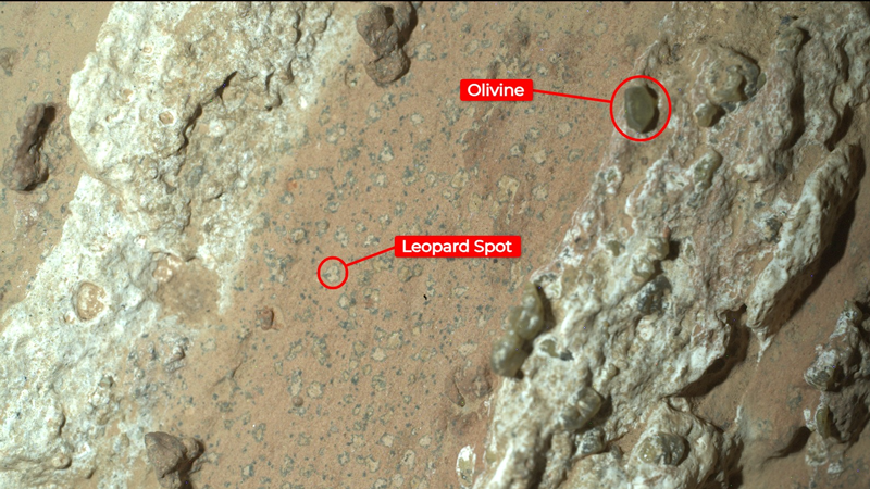 Ровер NASA Perseverance нашёл интригующий марсианский камень с «земными» признаками жизни