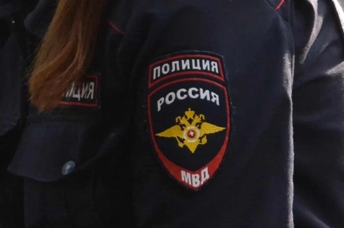 Полиция задержала жительницу Москвы в роддоме сразу после рождения тройни