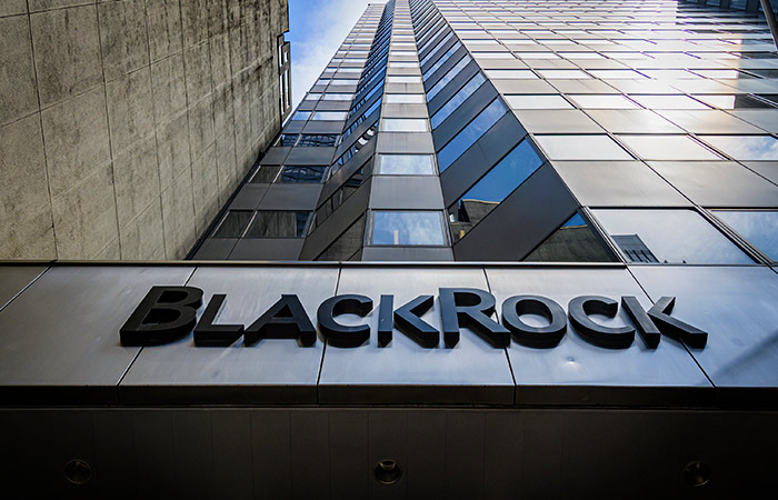 BlackRock, Microsoft и MGX привлекут $30 млрд в фонд инвестиций в ИИ-инфраструктуру