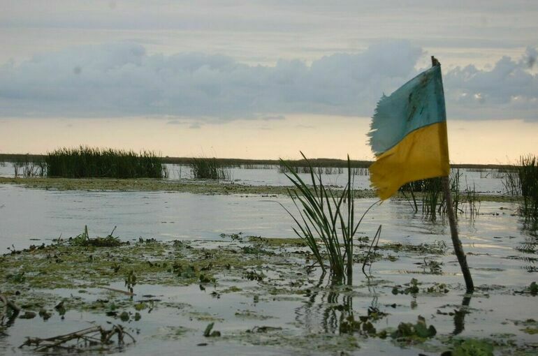 Минобороны: ВСУ потеряли 15 человек из-за неудачной контратаки в Курской области