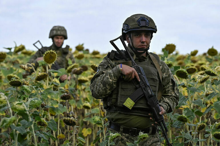 Потери ВСУ на курском направлении превысили 20 тысяч человек