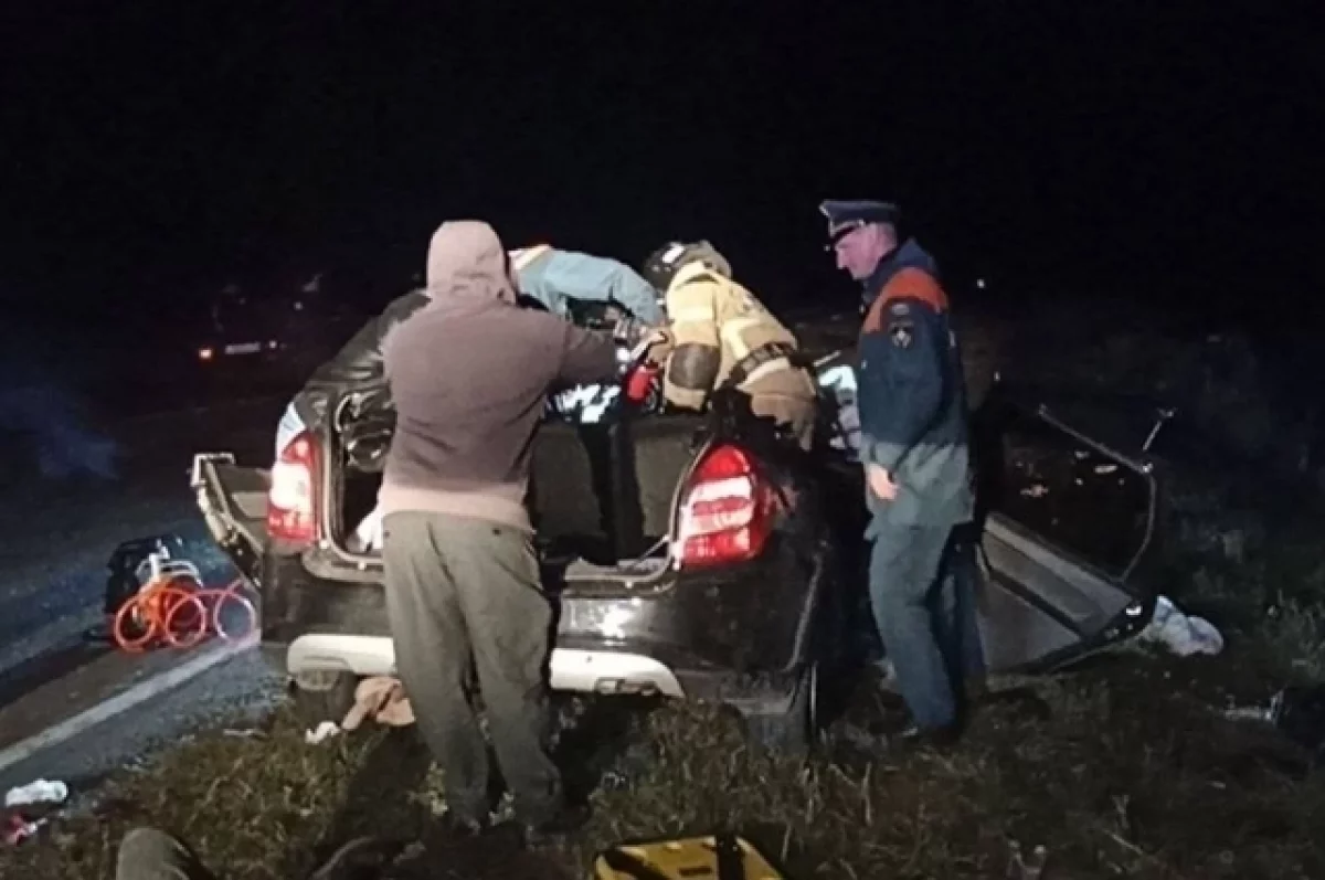 Четыре человека погибли в двойном ДТП с лосем в Омской области