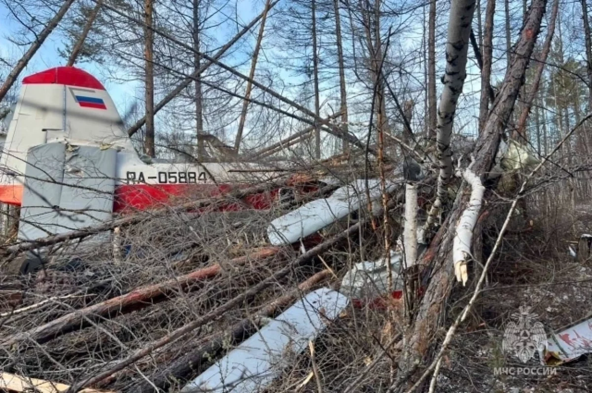 Появились кадры с места крушения Ан-3 в Якутии