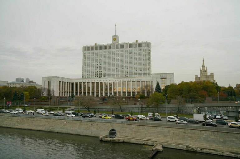 В кабмине не поддержали законопроект ЛДПР о порядке депремирования работников