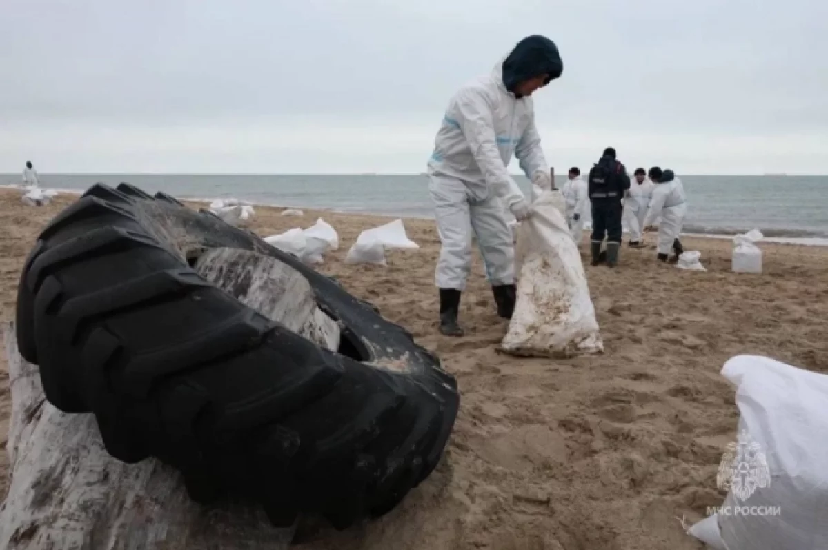 В Севастополе после ЧП с разливом мазута впервые нашли мертвых дельфинов