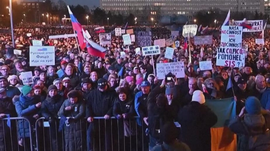 В Словакии прошли протесты с призывом к отставке Фицо