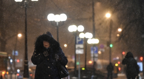 МЧС предупреждает жителей Москвы о сильном ветре и снеге до утра 29 марта