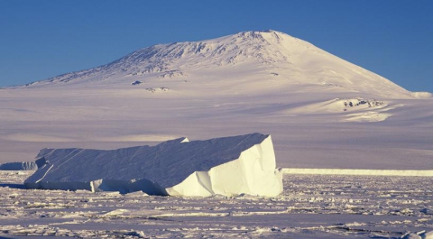 В Антарктиде зафиксирован беспрецедентный максимум + 17,5°С.