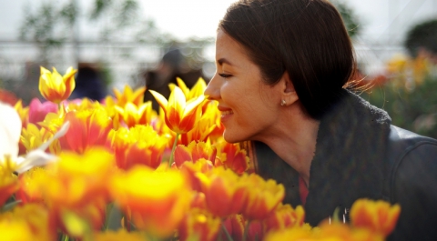 Цифра дня: 50 млн цветов завезли в Москву к Международному женскому дню