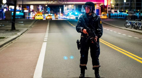 Полиция Норвегии задержала россиянина по подозрению в теракте