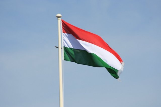 Украинец заплатил 6400 долларов за помощь в побеге через границу в Венгрии