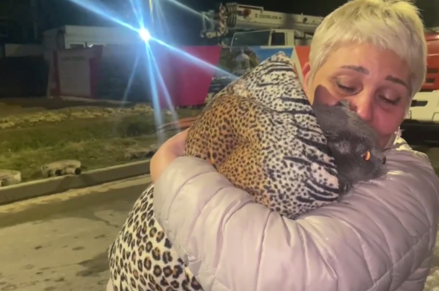 МЧС РФ: при пожаре в Анапе спасены два кота