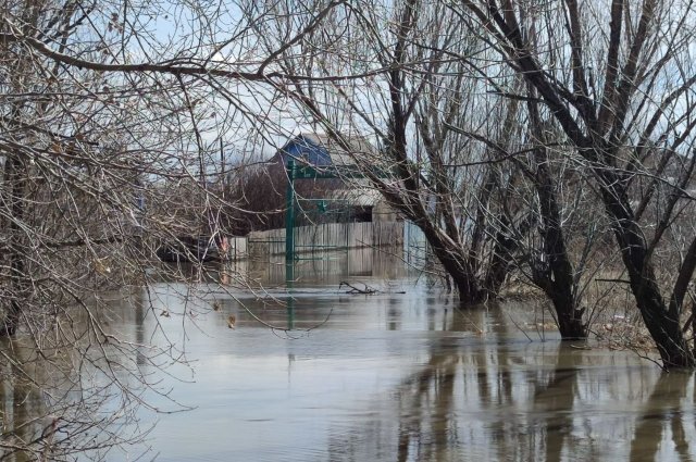 Власти Курганской области сообщили, что паводок находится в 10 км от города