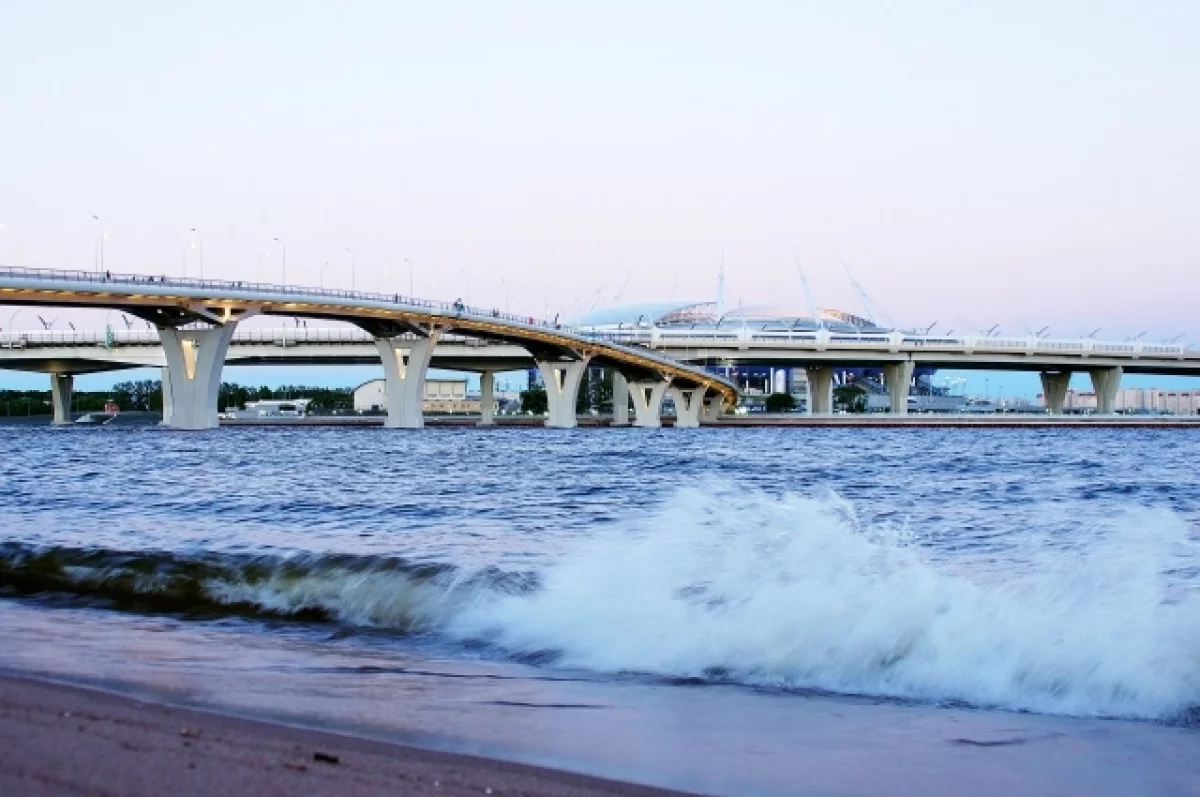 Обнаженная девушка спрыгнула с 19-метрового Яхтенного моста в Петербурге