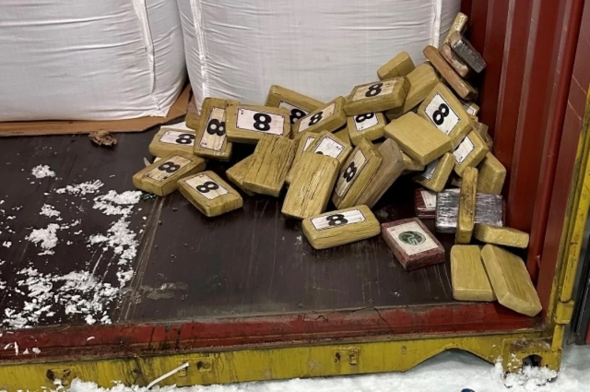 Baza: в порту Петербурга в контейнере с бананами нашли 60 кг кокаина